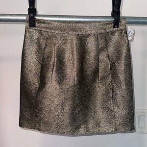 Fossil Metal Skirt